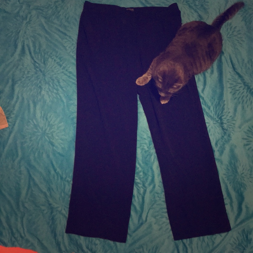 Black dress pants